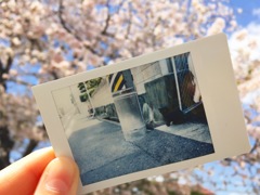 ピンクとまっくろくろすけ