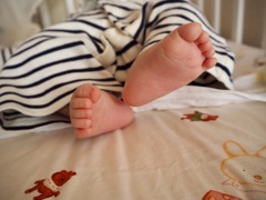 D9181469-68D3-4616-B872-3F14F66EA207