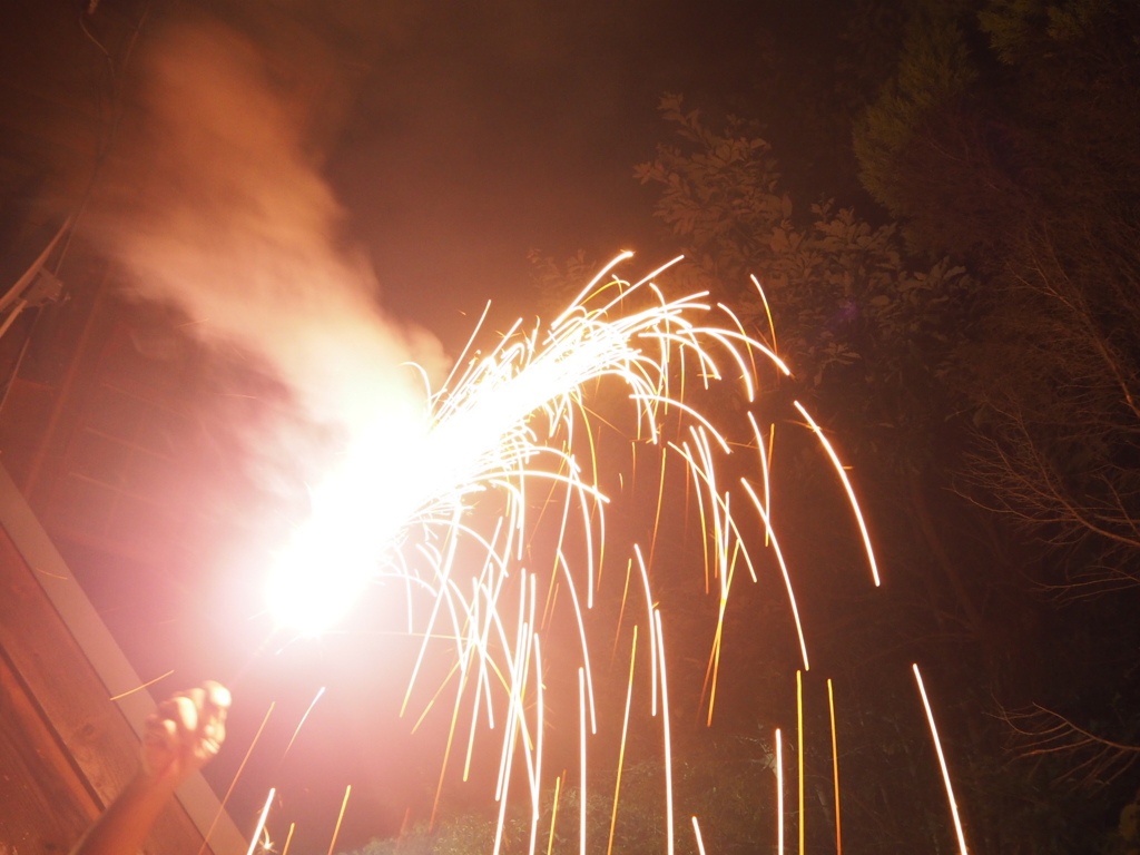 ED510B17-0D8F-452D-A825-A85C156D762C