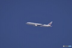 JAL　B777？