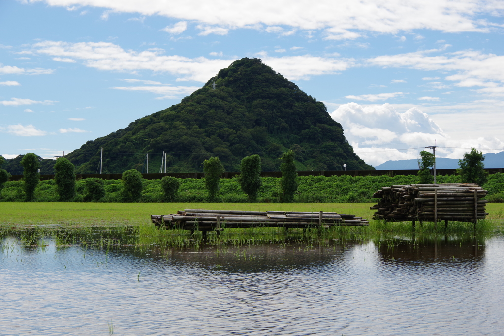 辺田小島