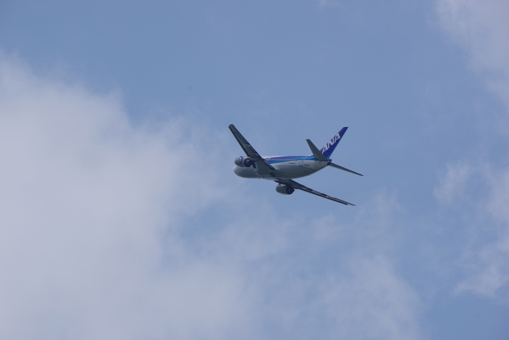 into the air （空へ）