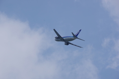 into the air （空へ）