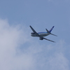 into the air （空へ）