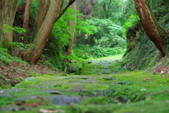 竜馬が通った道