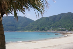 渚にて