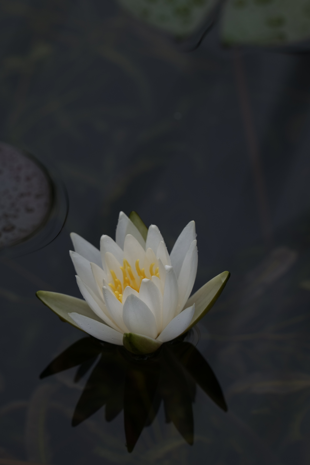 清閑３