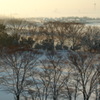 雪に覆われた朝