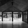 flooring reflection