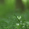 ♡