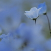 simple つー