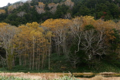 秋の上州(群馬県)