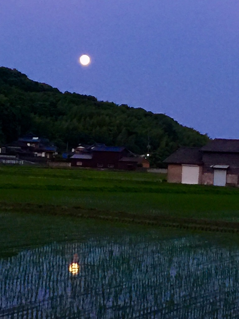 満月