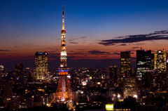 夕闇の煌き