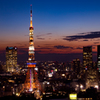 夕闇の煌き