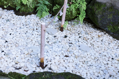 祓いたまえ