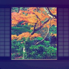 空間美②