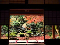 空間美①