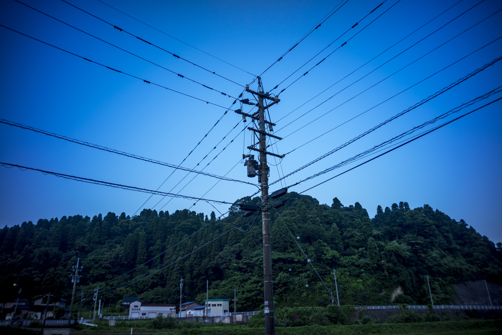 おもたい朝の散歩７