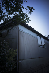 おもたい朝の散歩１