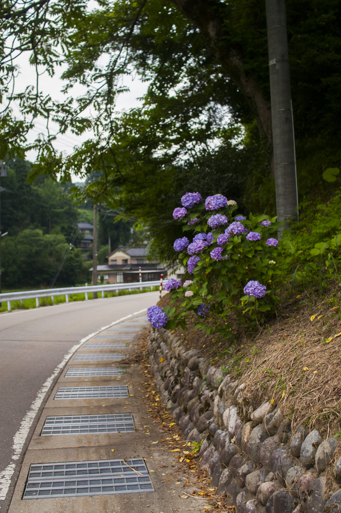 夏が来る３