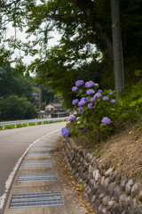 夏が来る３