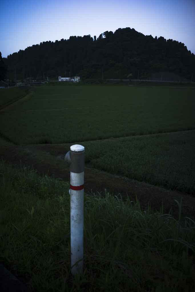 おもたい朝の散歩３