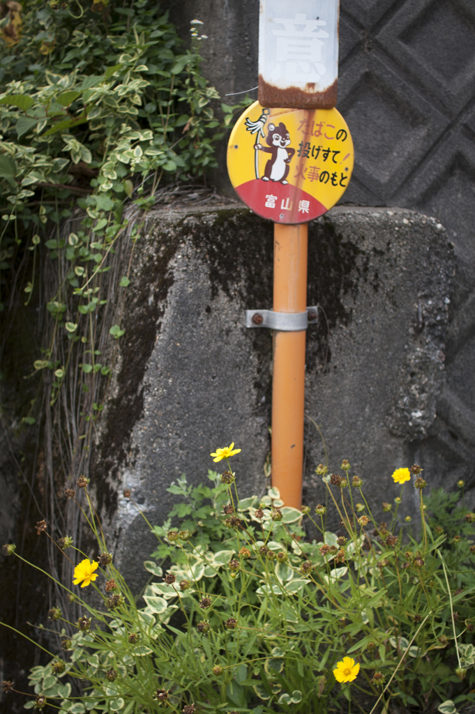 夏が来る７
