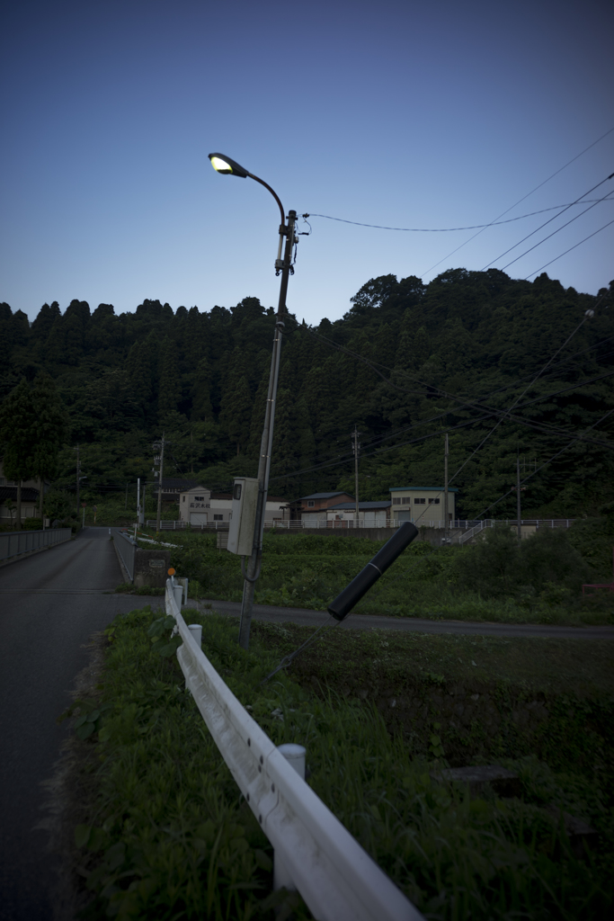 おもたい朝の散歩９