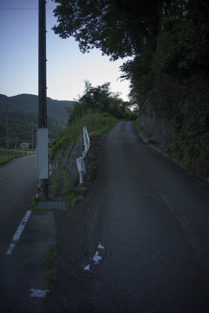 おもたい朝の散歩１５
