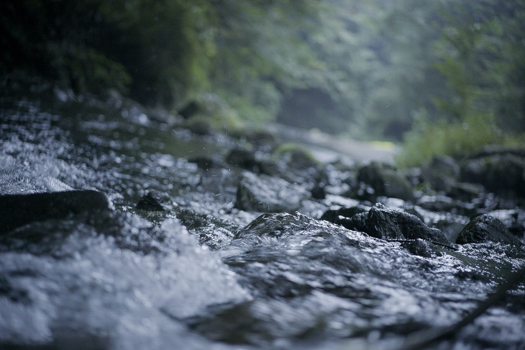 渓流