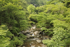 6241709600_287A1204