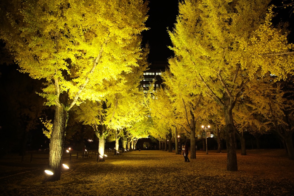 yellow carpet