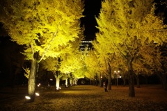 yellow carpet