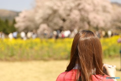 花見
