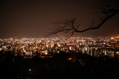 夜景
