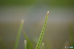3B87402F-1944-4D63-A9D5-C9E26E8E073C