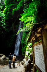 養老の滝2