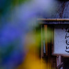 祇園 ＃8