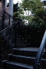 北山通り6