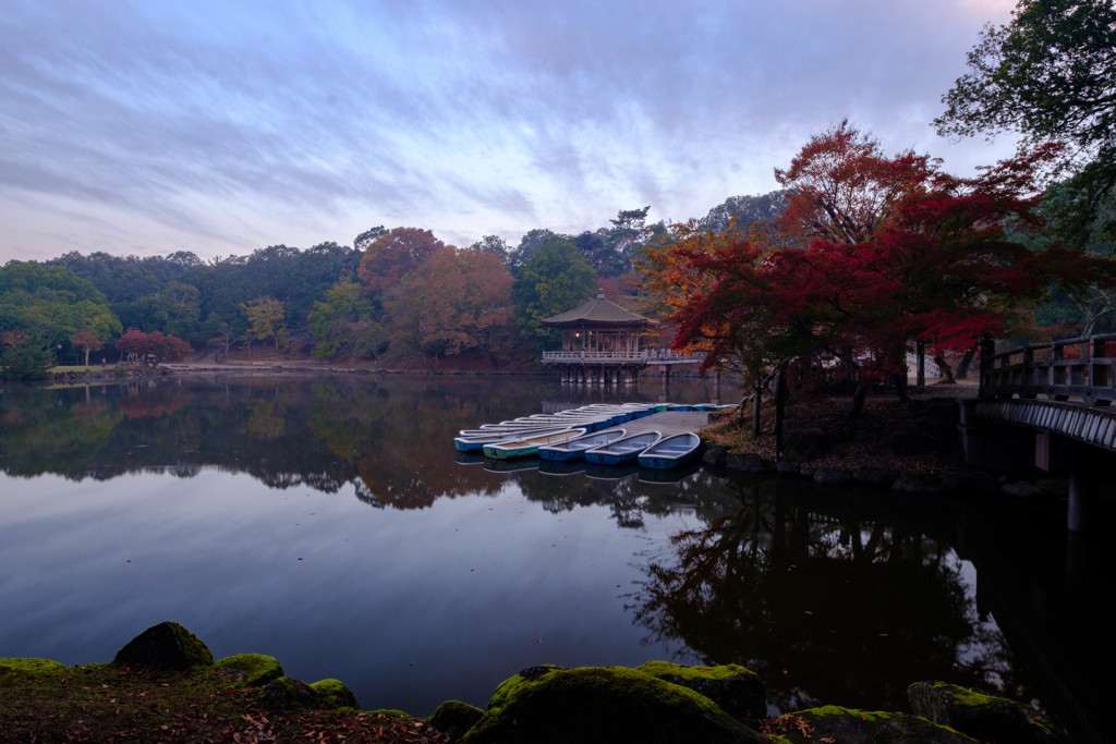 秋の奈良公園2