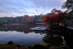 秋の奈良公園2