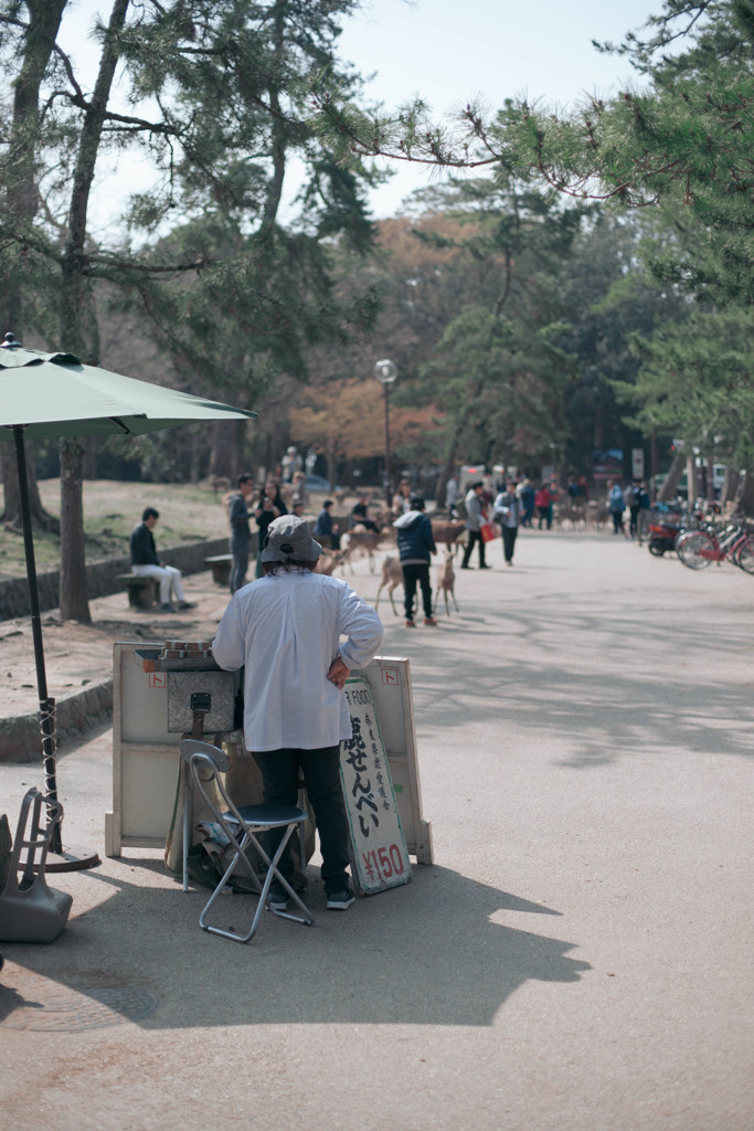 春の奈良公園 ＃12