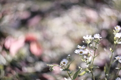 六地蔵 #2