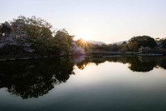 春の奈良公園 #1