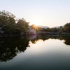 春の奈良公園 #1