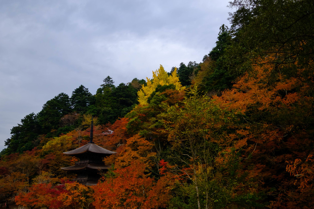 金剛院8