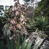 京都府植物園 ＃4
