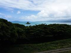 ハワイ ＃18