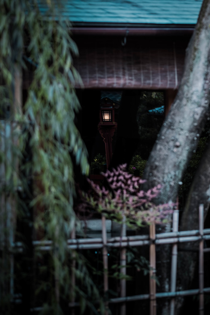 祇園 ＃6